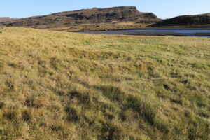 Býlið stóð rétt við Staðará, innan við 30 metrum frá bakkanum.